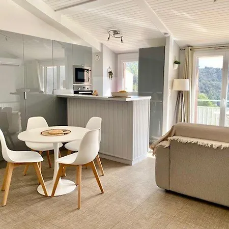 Avec Terrasse, Climatisation Et Parking A 800m Du Centre - Fr-1-703-169 Apartment Amelie-les-Bains-Palalda
